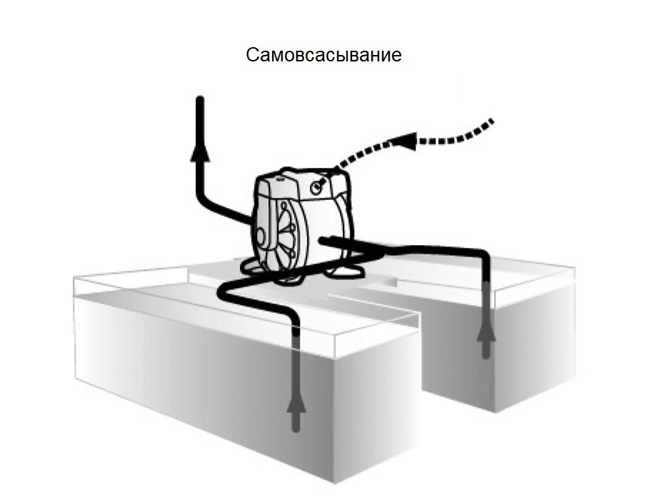 Насос диафрагменный с пневмоприводом,1:1,250 л/мин,давл. возд. от 1,5 до 7 бар,1/2" NPSM,G1-1/2" (f)