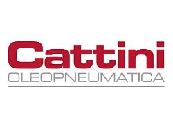 CATTINI: домкраты подкатные (напольные),  домкраты грузовые для карьерной техники