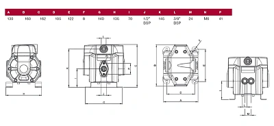 Насос ED30 диафрагменный с пневмоприводом; 1:1; 30 л/мин.; 0,7 МПа; вход вохдуха G3/8"(f); вход жидкости 2x3/8”(f); выход жидкости G1/2"(f); +80°С