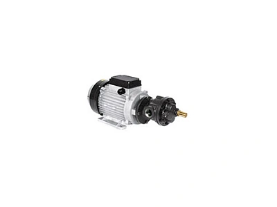 Насос с электроприводом повышенной производительности для масла; макс. давление: 0,8МПа; производительность 50л/мин; 220В; 1500 Вт.; 50Гц