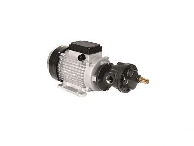 Насос электрический шестерёнчатый самовсасывающий для масла, 220В, 70 л/мин, 2,0 кВт, 8 бар,вход/выход G1" (f).  
